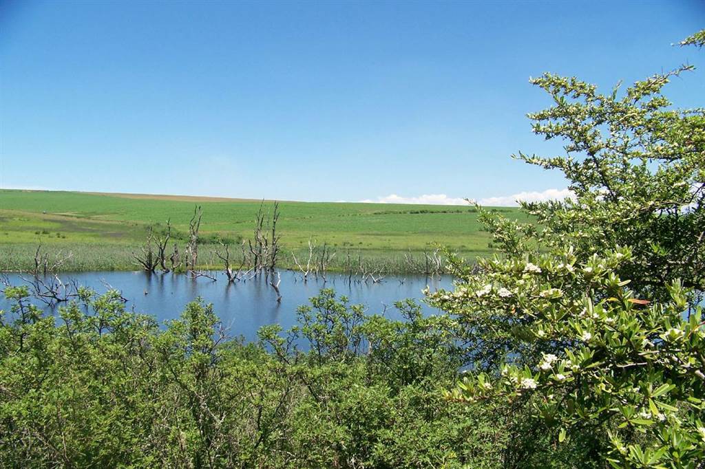 20.8 ha Smallholding in Mooi River photo number 21