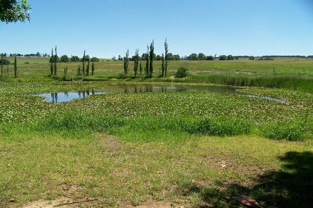 20.8 ha Smallholding in Mooi River photo number 12