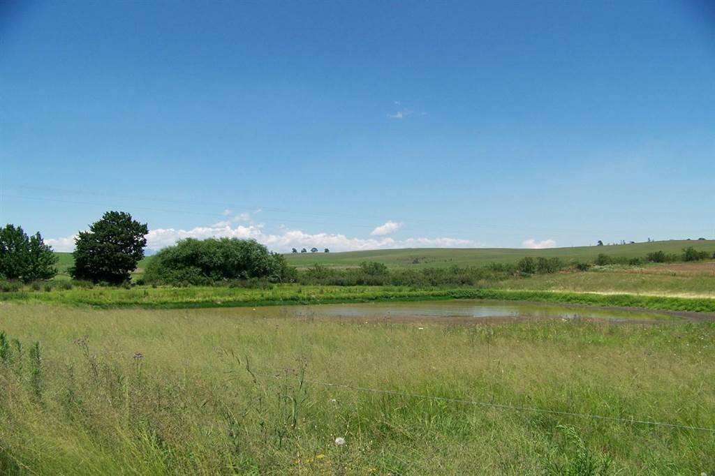 20.8 ha Smallholding in Mooi River photo number 20