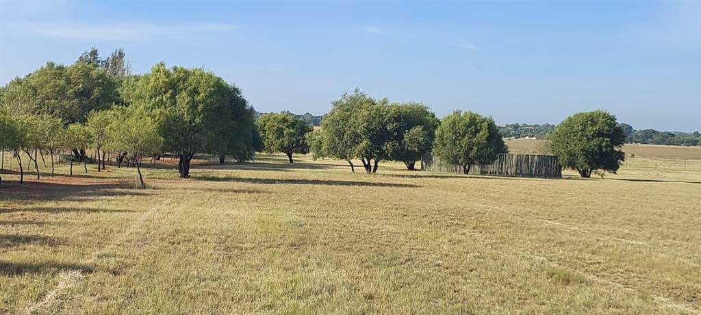 2 ha Land available in Groenvlei photo number 7