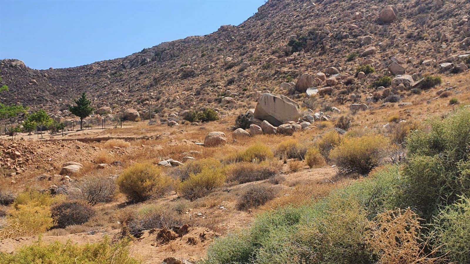 805 m² Land available in Springbok photo number 3