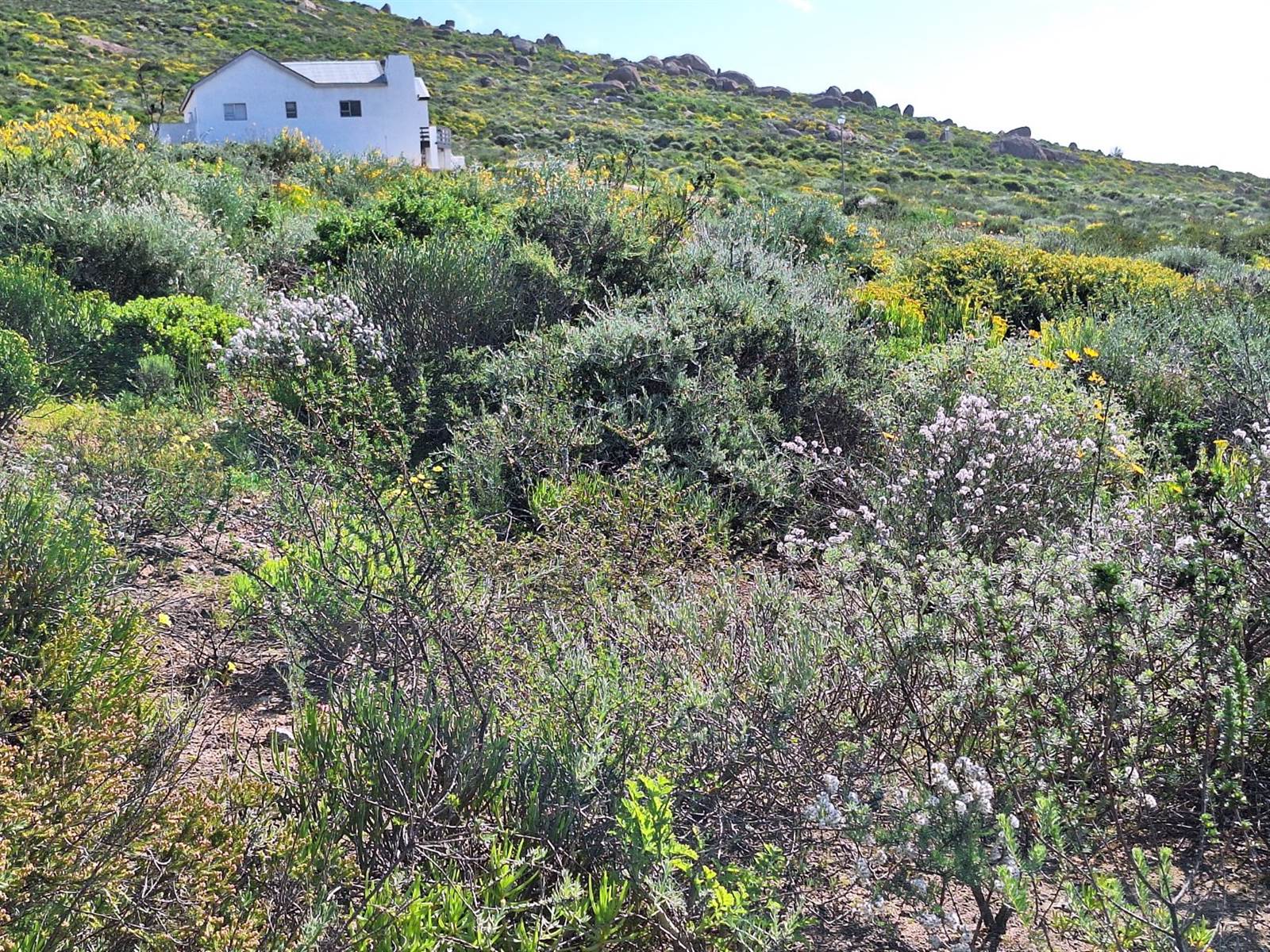 405 m² Land available in St Helena Views photo number 12