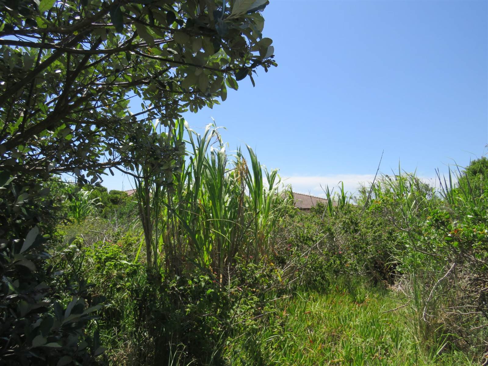 805 m² Land available in Emerald Heights photo number 4