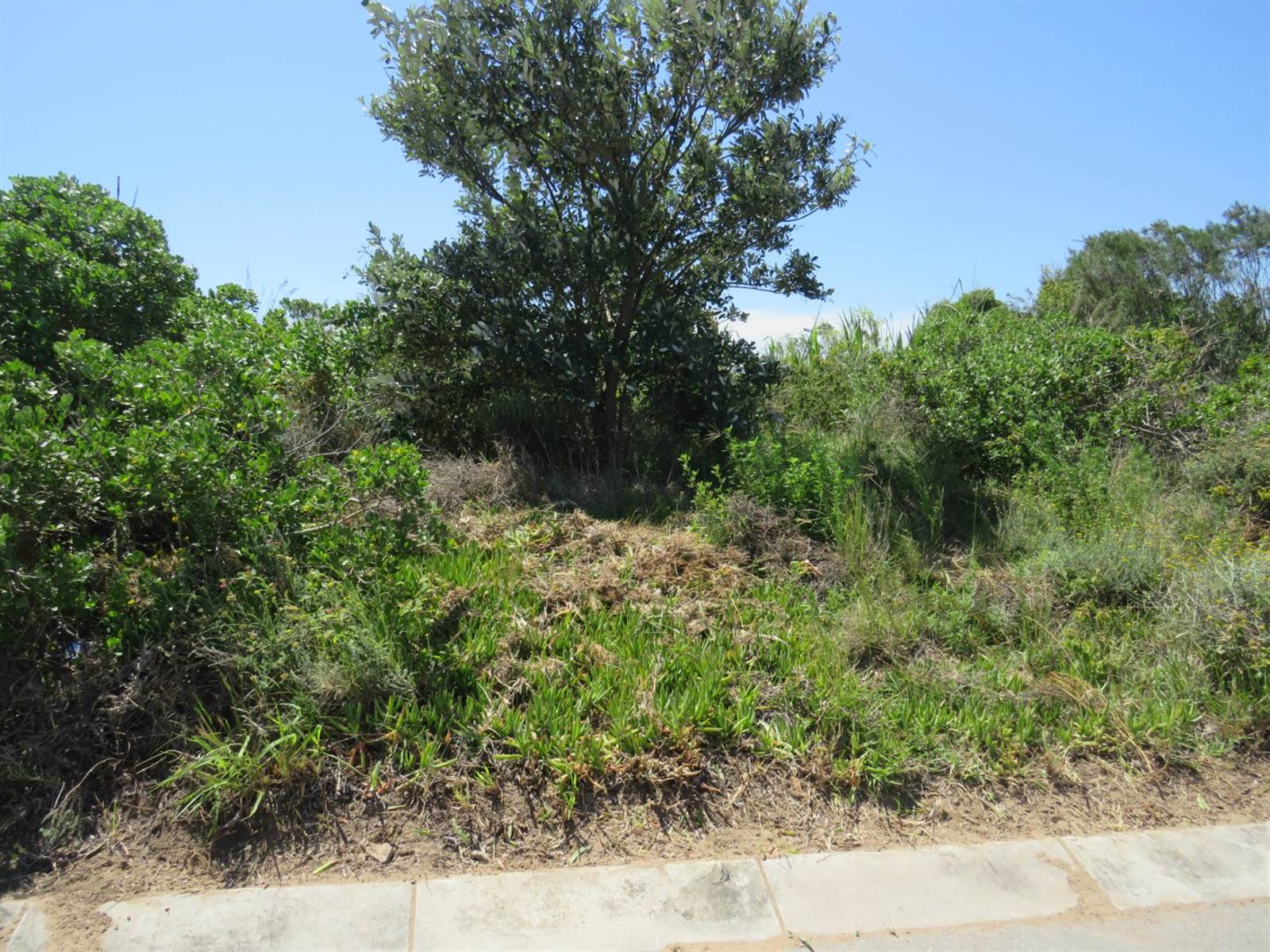 805 m² Land available in Emerald Heights photo number 2