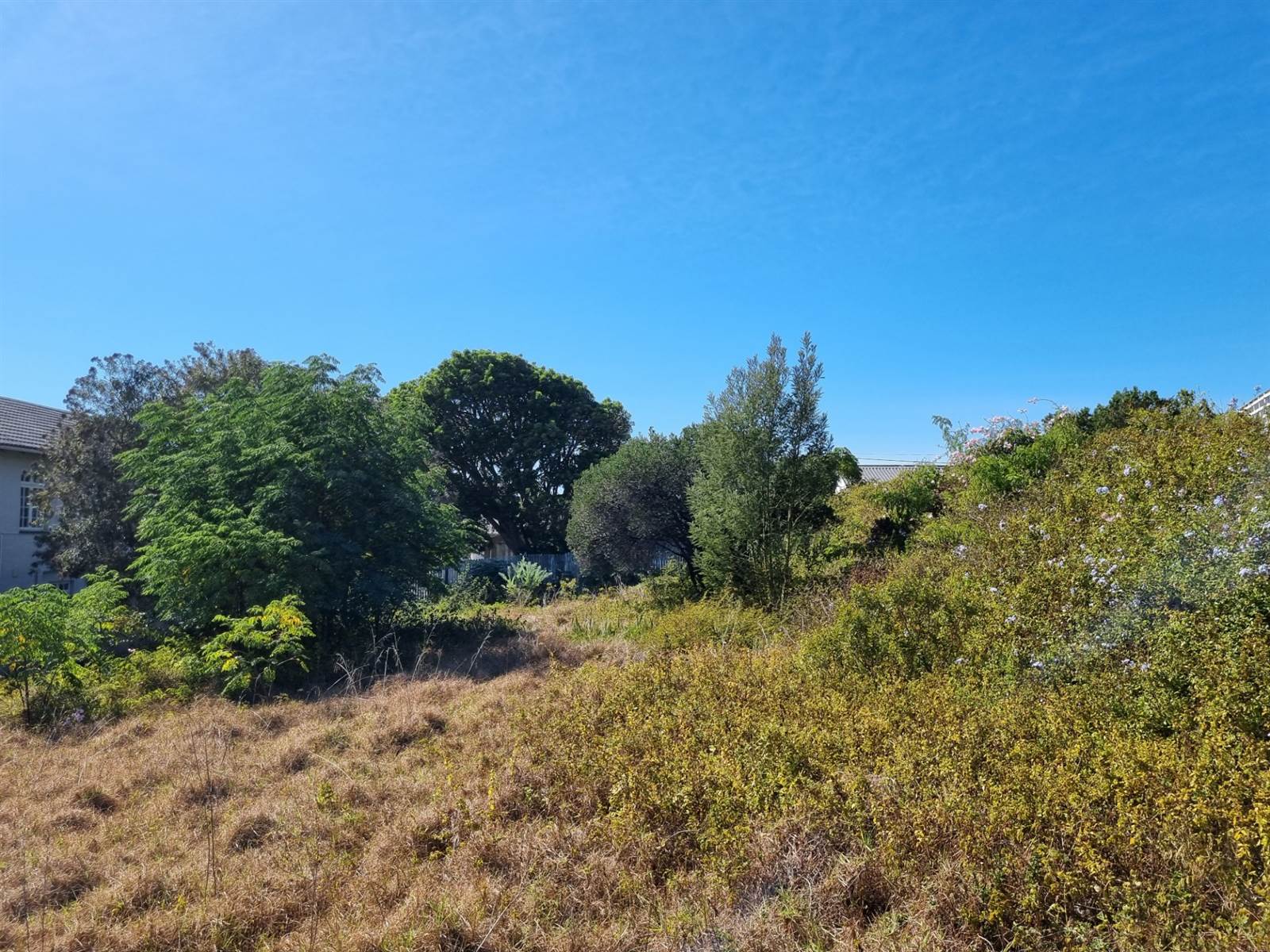 798 m² Land available in Plettenberg Bay photo number 1