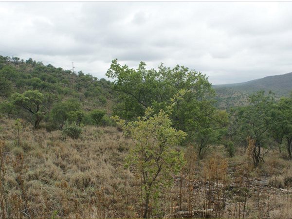 3.9 ha Land