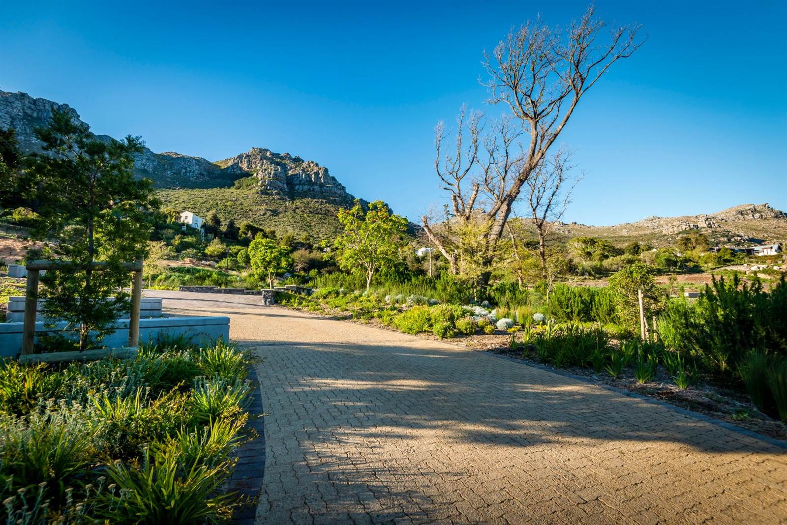 655 m² Land available in Hout Bay and surrounds photo number 11