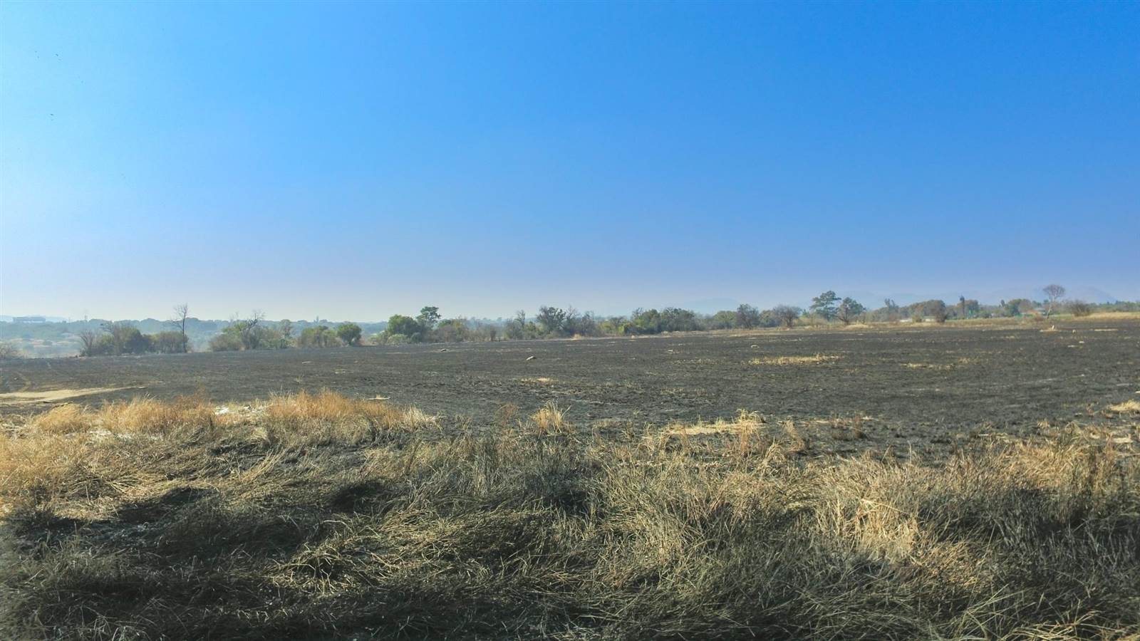 23 ha Land available in Primindia photo number 4