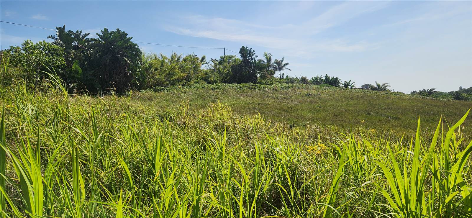 1014 m² Land available in Port Edward photo number 11