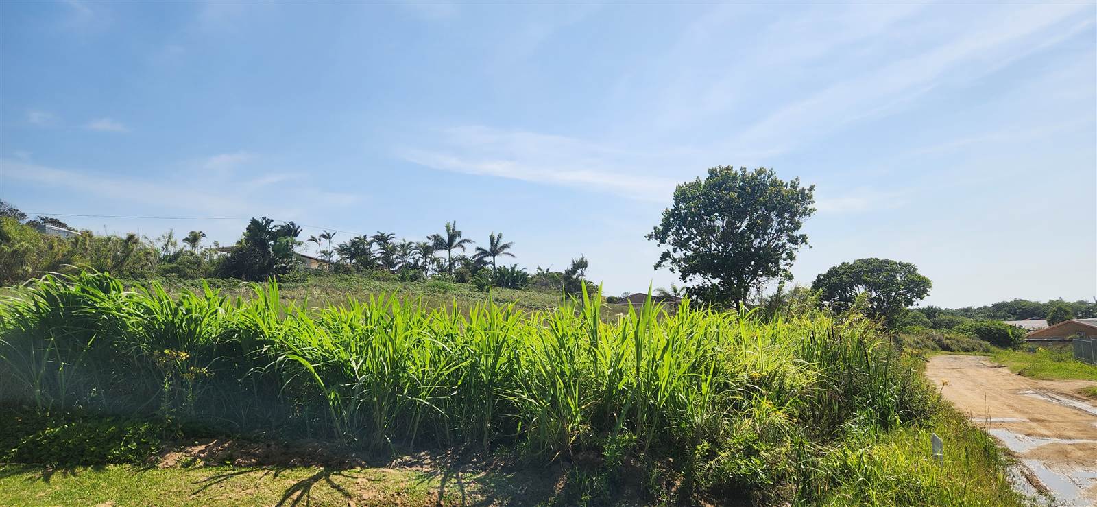 1014 m² Land available in Port Edward photo number 2
