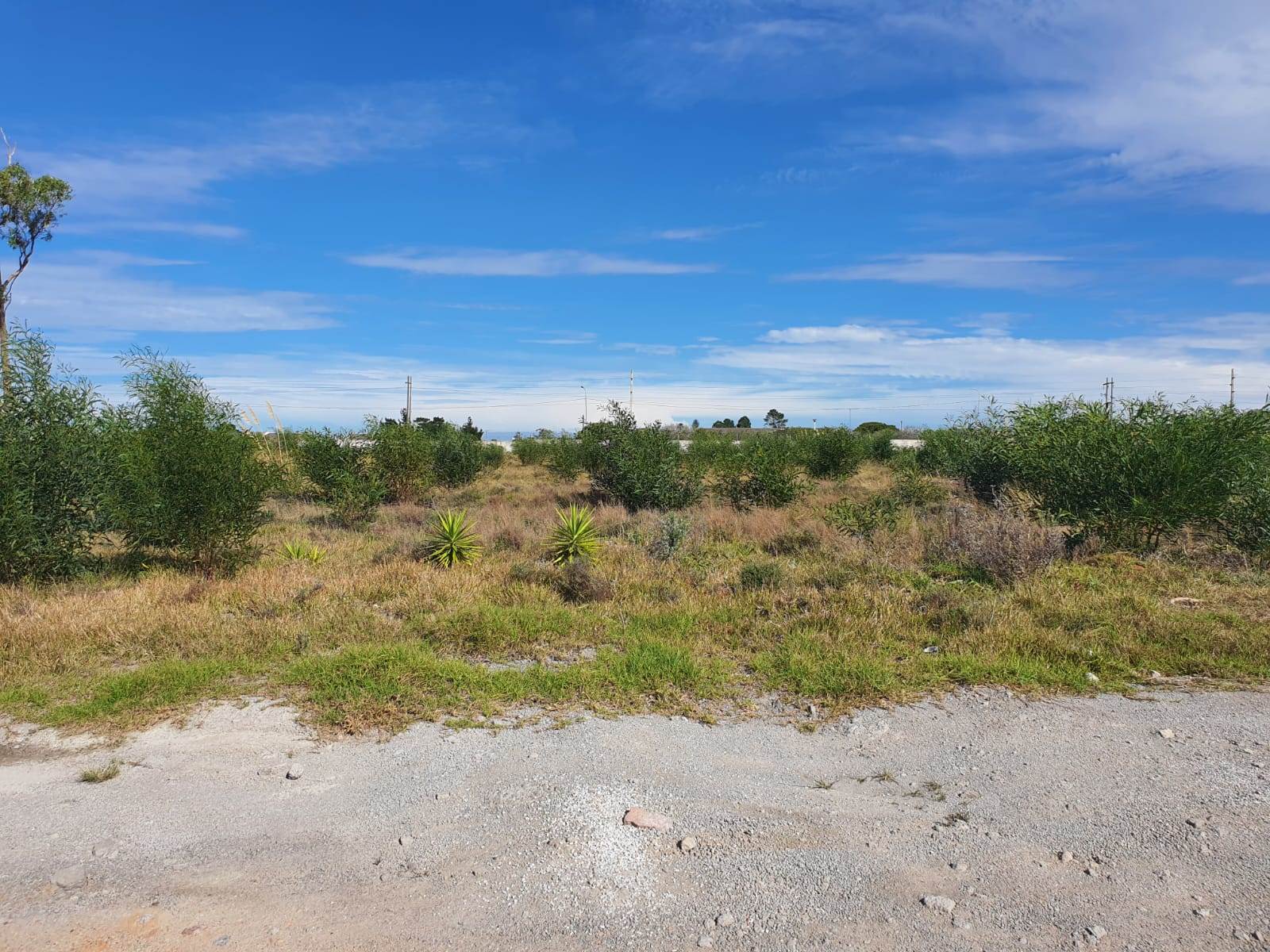 26 ha Land available in Greenbushes photo number 15