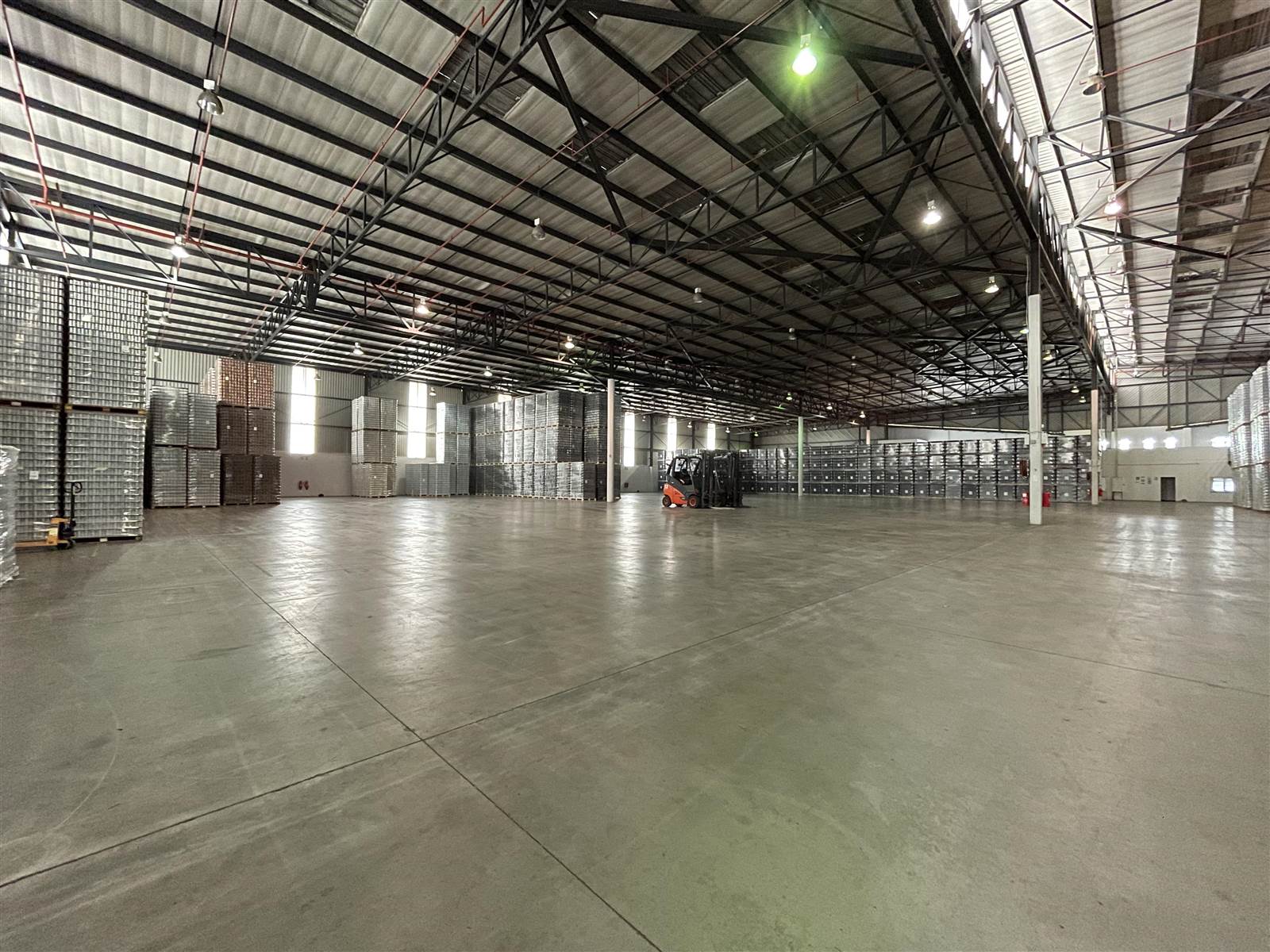 5967  m² Industrial space in Gosforth Park photo number 8
