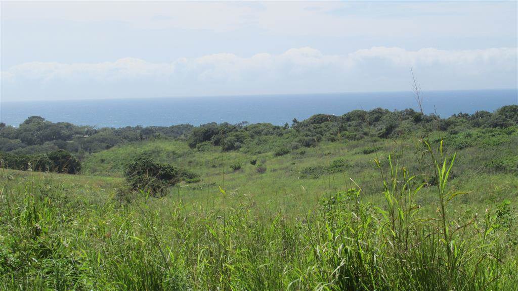 2138 m² Land available in Port Edward photo number 5