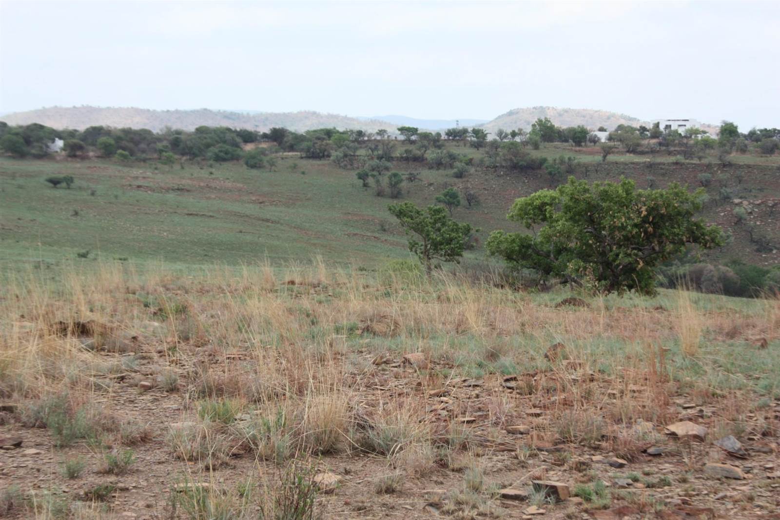 31 ha Land available in Broederstroom photo number 26