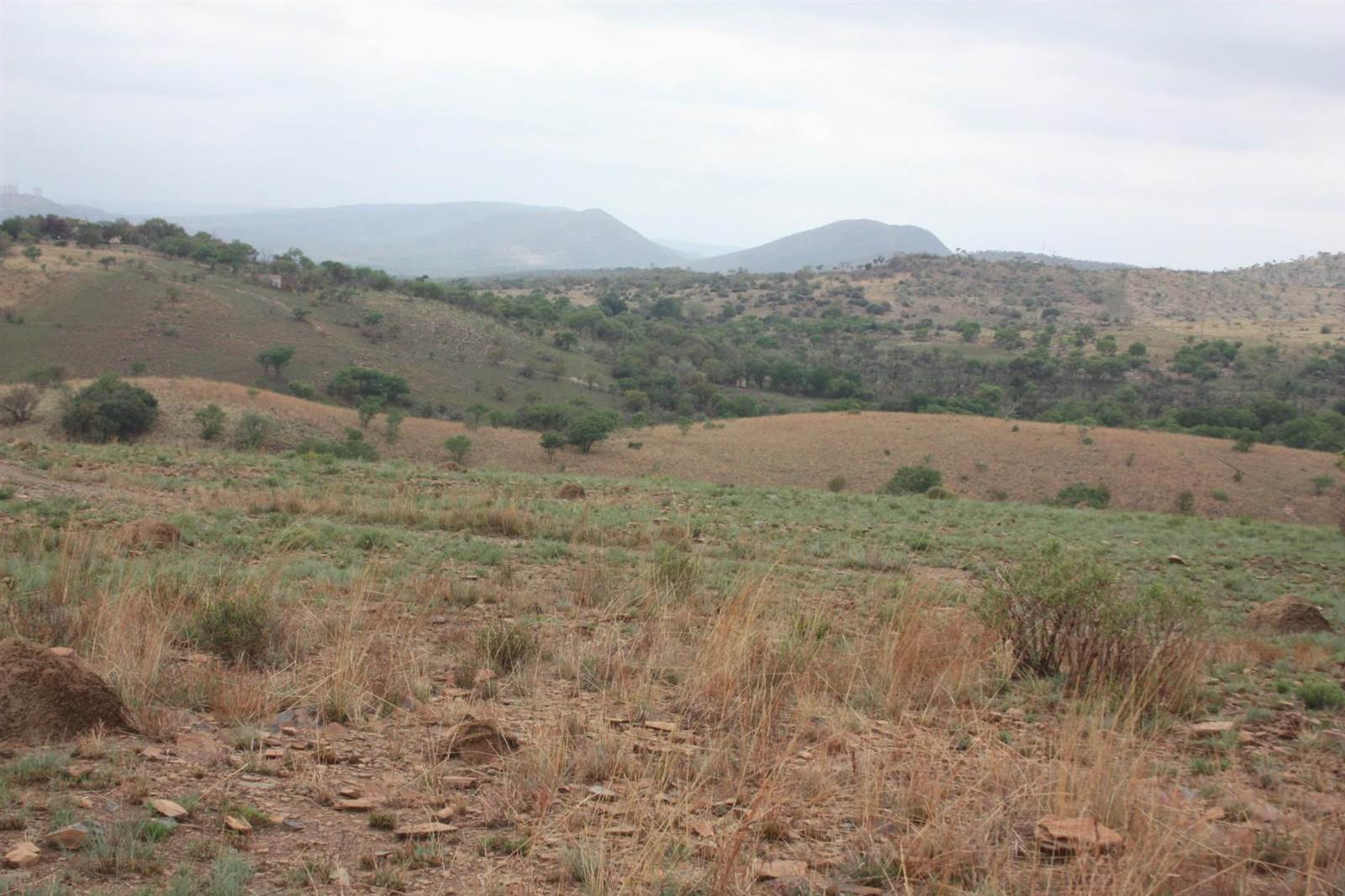 31 ha Land available in Broederstroom photo number 1