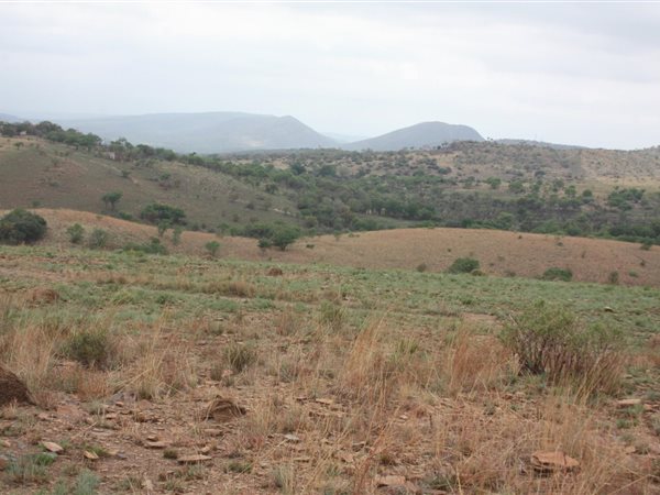 31 ha Land available in Broederstroom