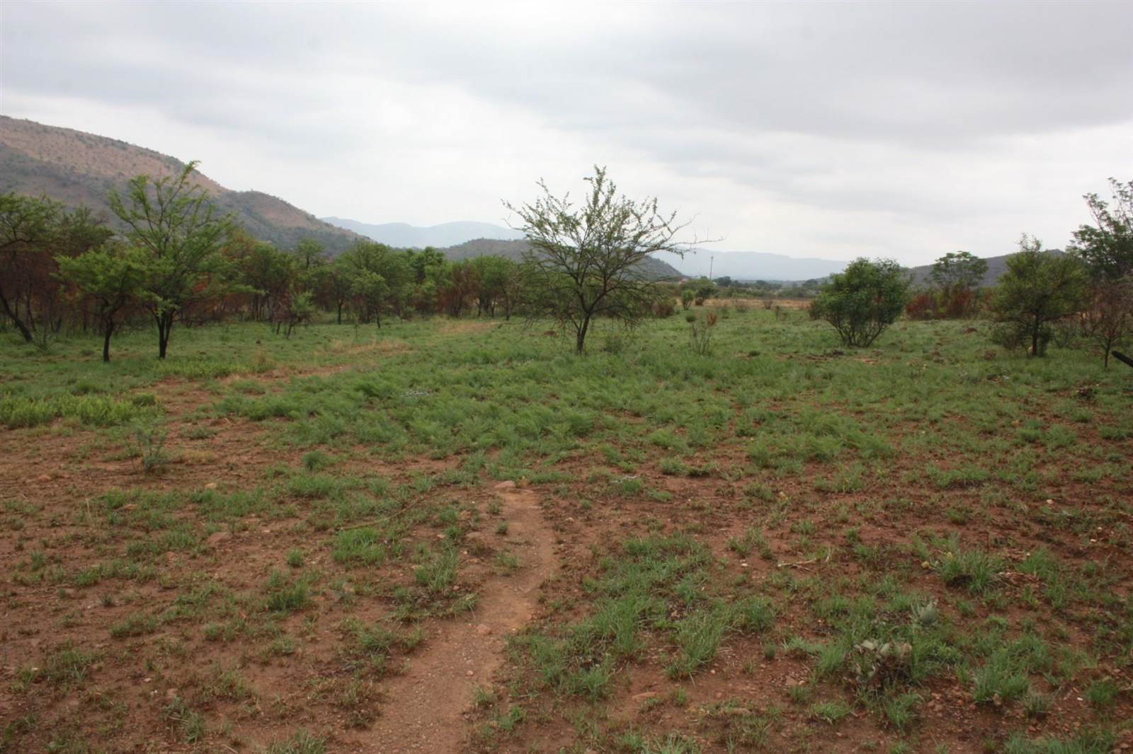 31 ha Land available in Broederstroom photo number 12
