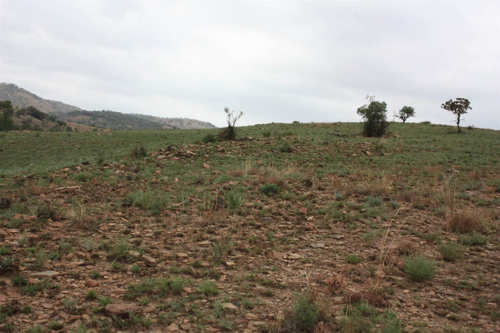 31 ha Land available in Broederstroom photo number 28