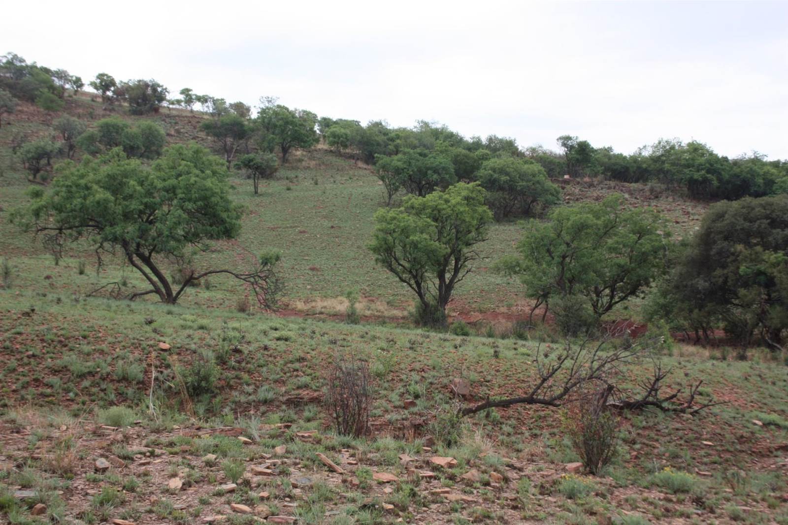 31 ha Land available in Broederstroom photo number 27