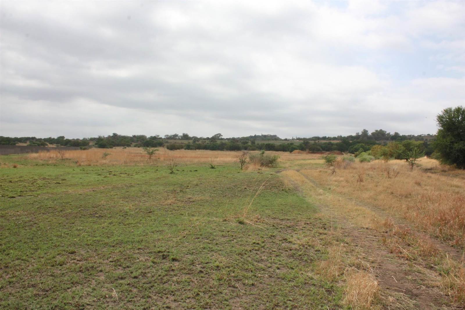 31 ha Land available in Broederstroom photo number 19