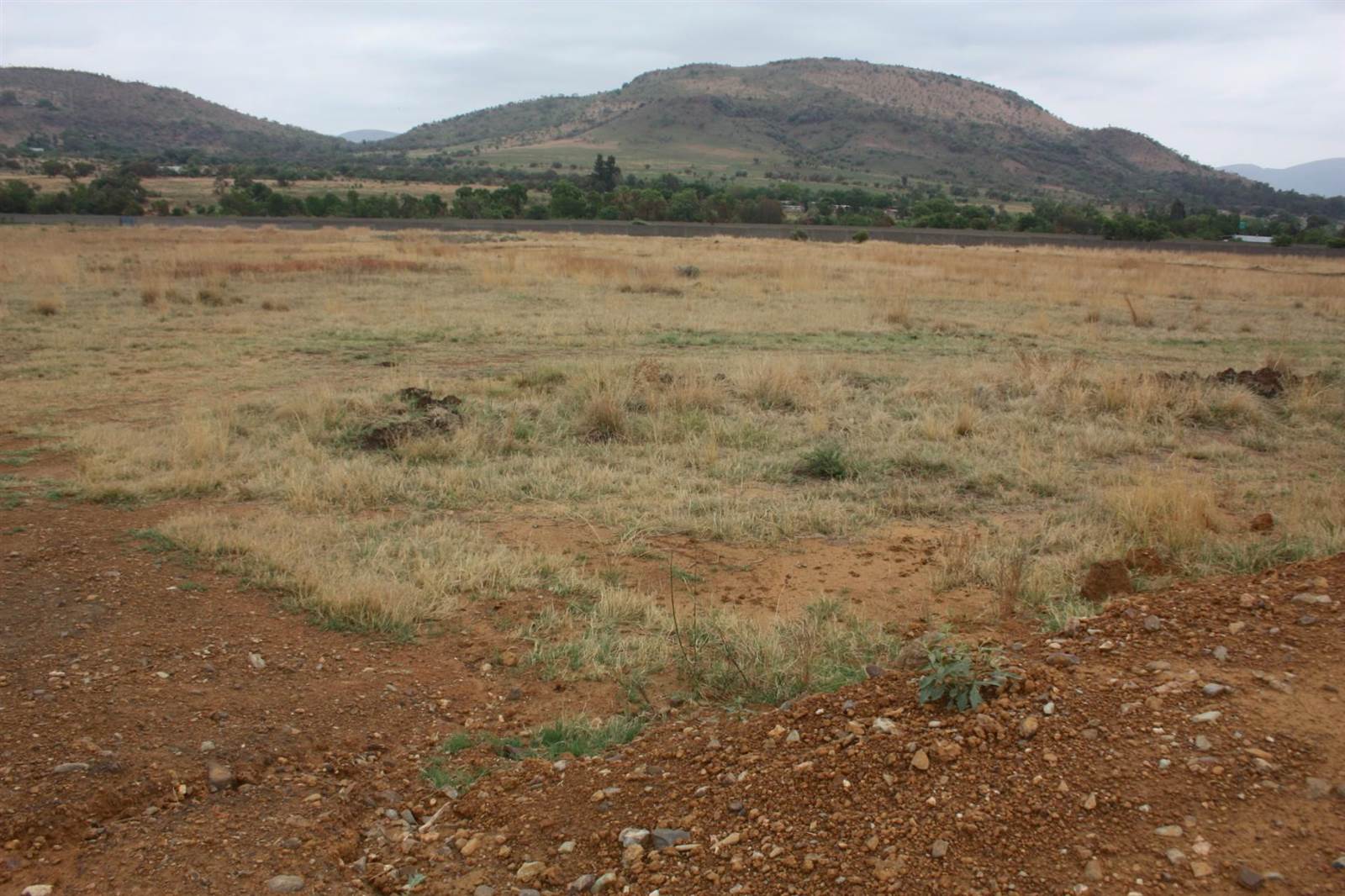 31 ha Land available in Broederstroom photo number 4