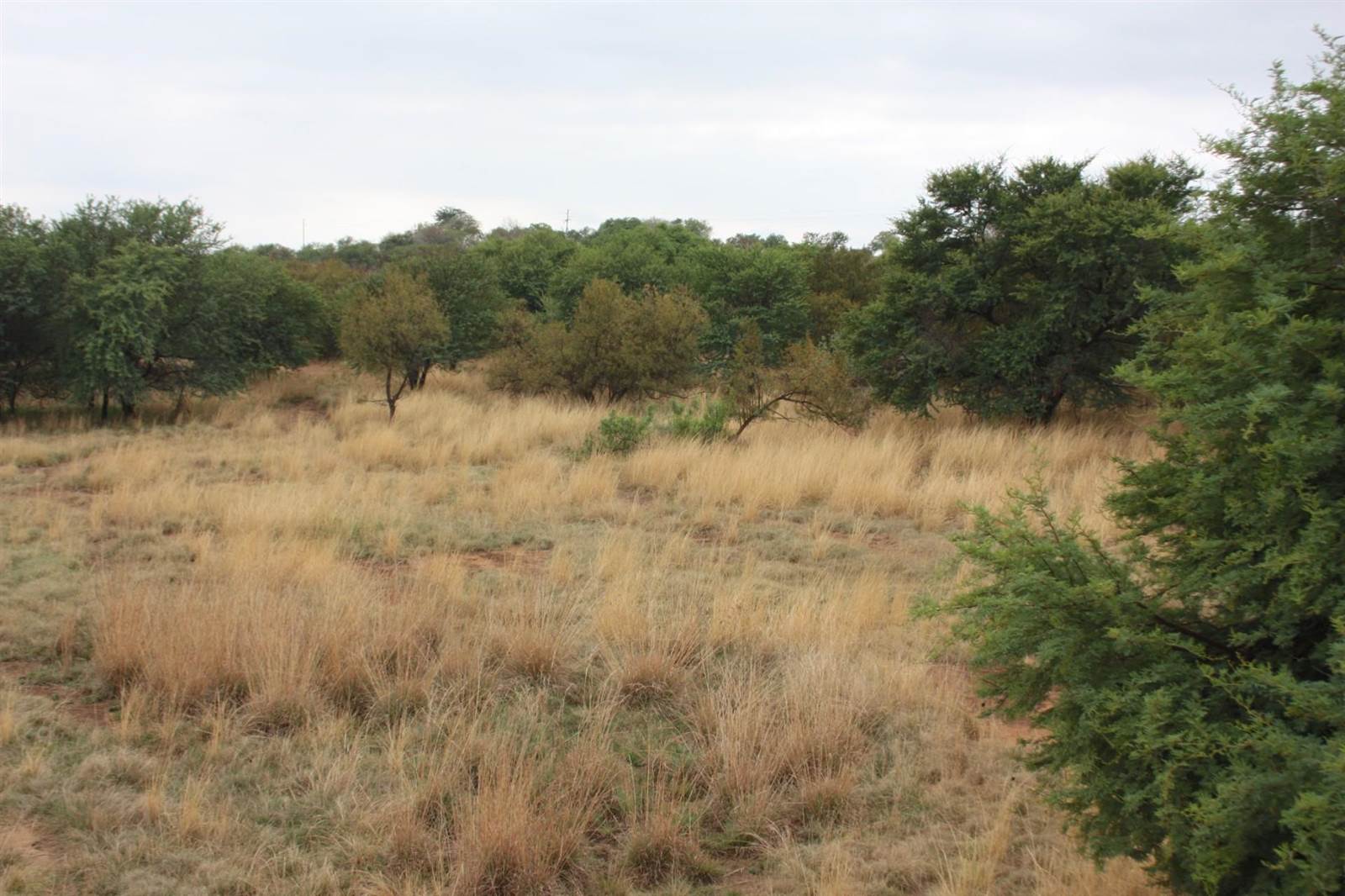 31 ha Land available in Broederstroom photo number 9