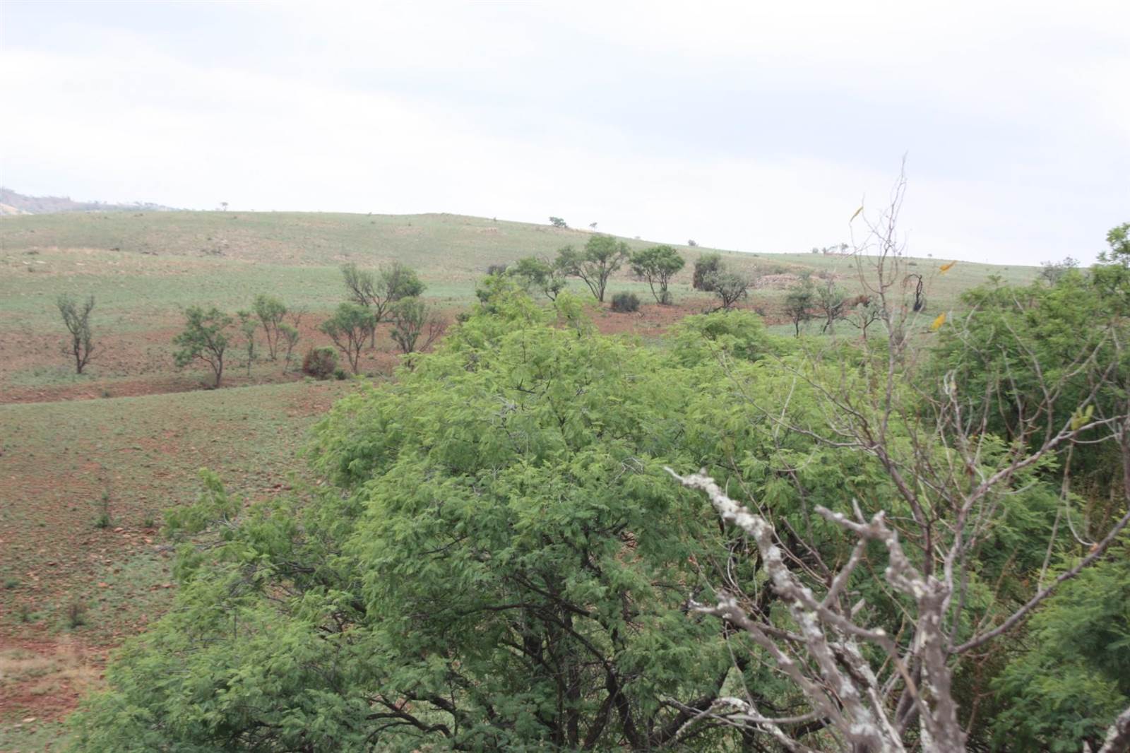 31 ha Land available in Broederstroom photo number 23