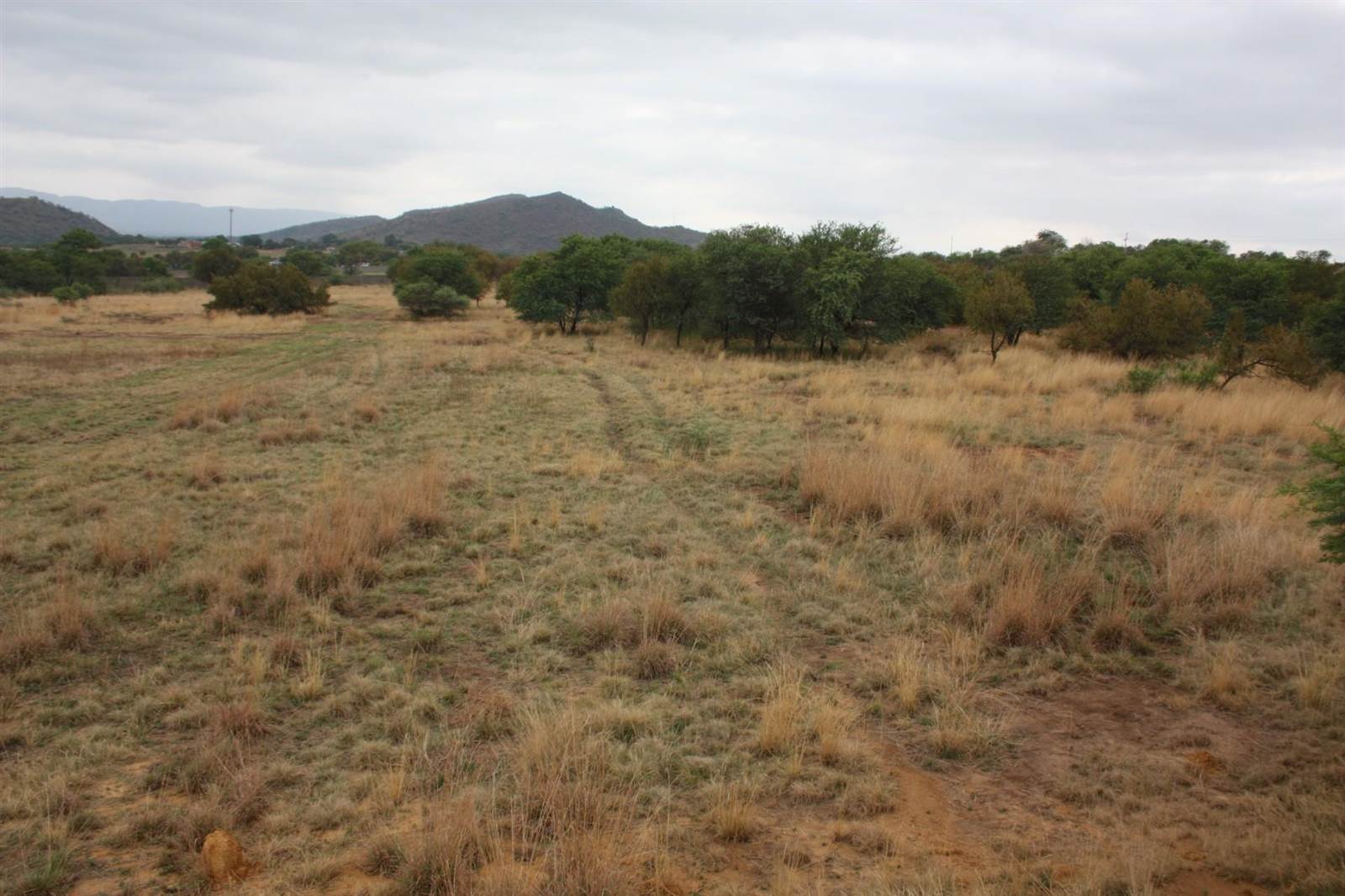 31 ha Land available in Broederstroom photo number 8