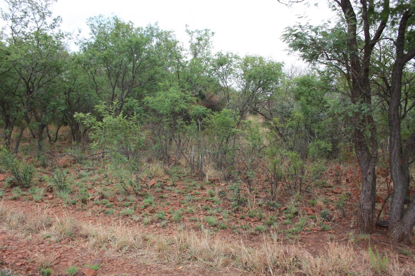 31 ha Land available in Broederstroom photo number 24