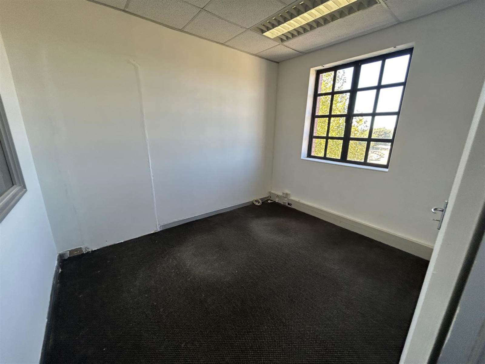 142  m² Office Space in Claremont photo number 5