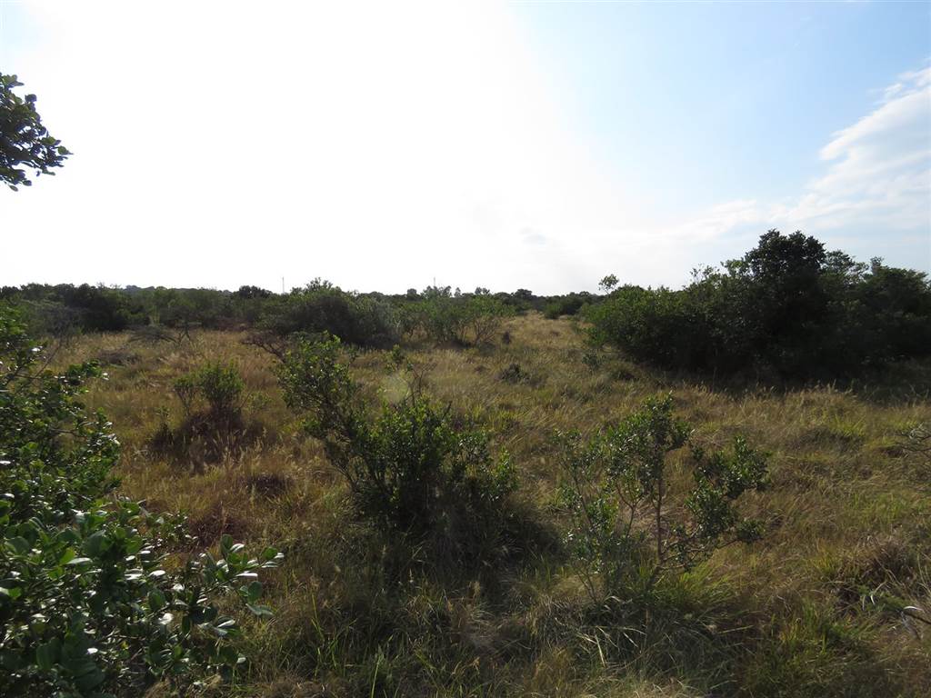 2 ha Land available in Forest Downs photo number 10