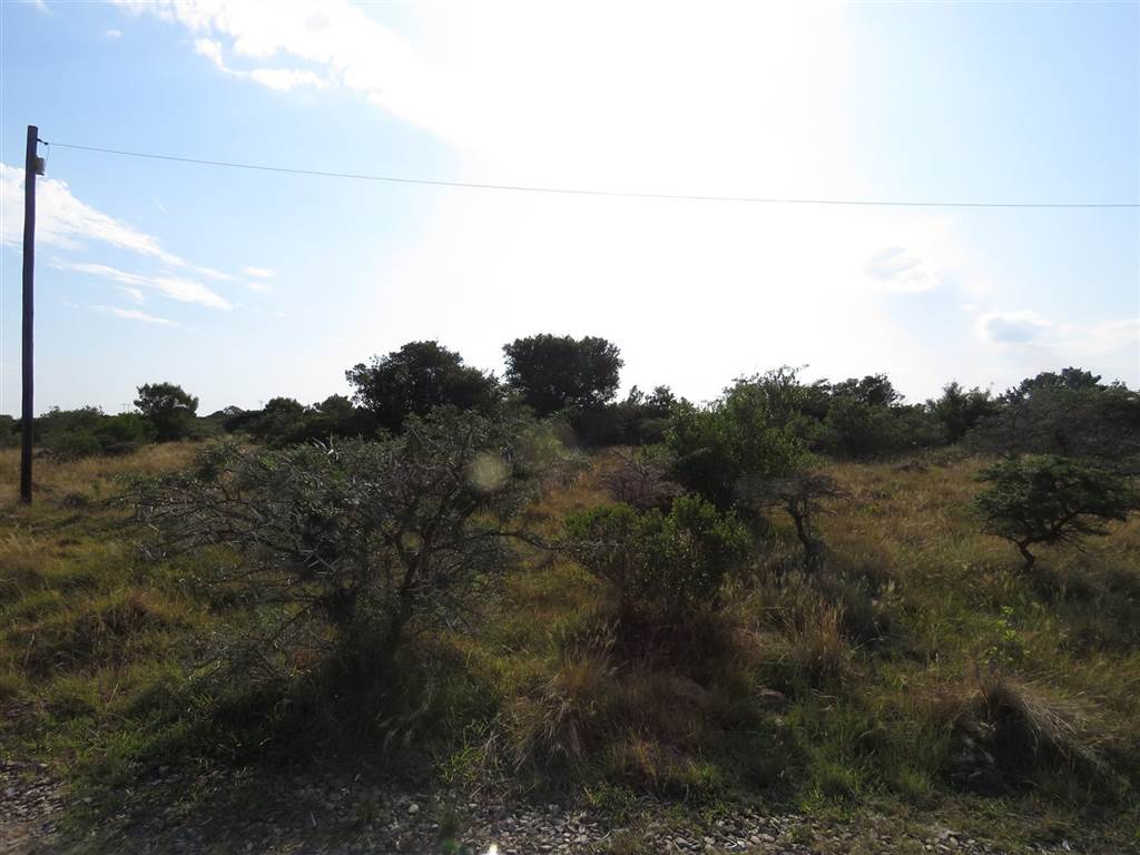 2 ha Land available in Forest Downs photo number 6