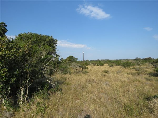 2 ha Land available in Forest Downs
