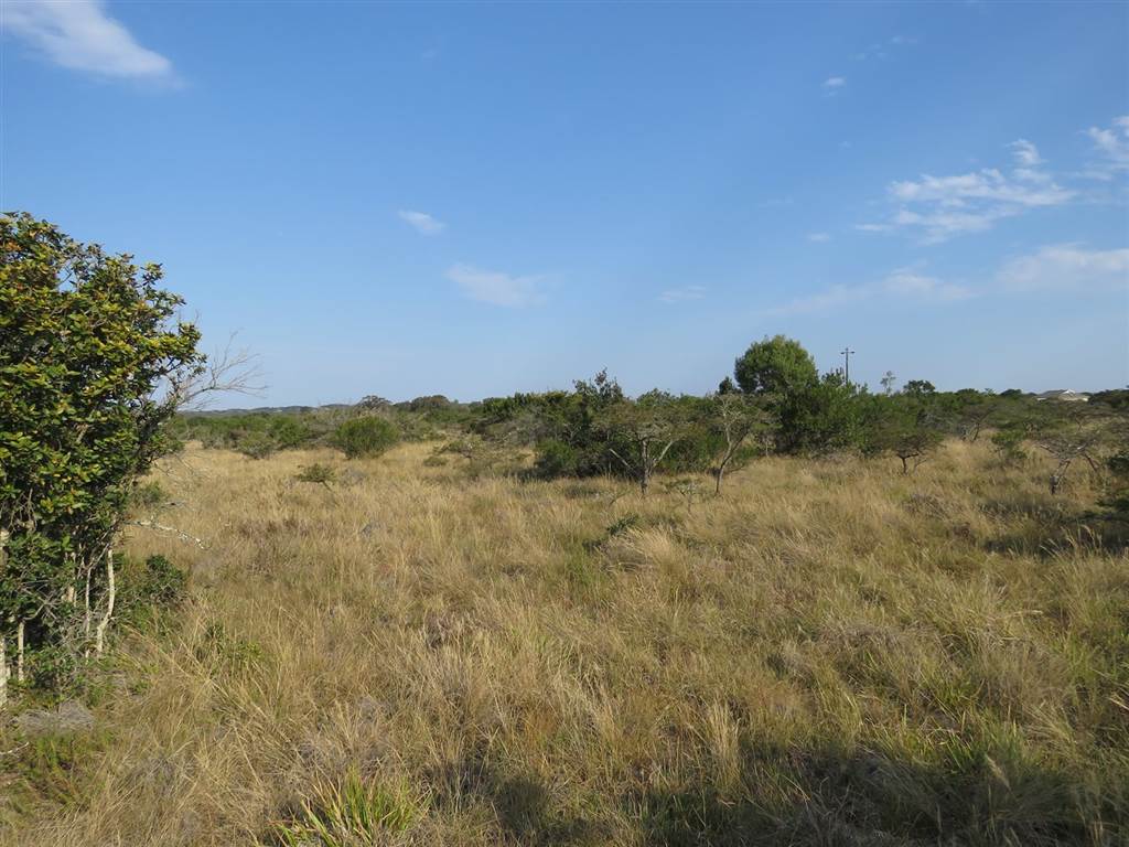 2 ha Land available in Forest Downs photo number 9