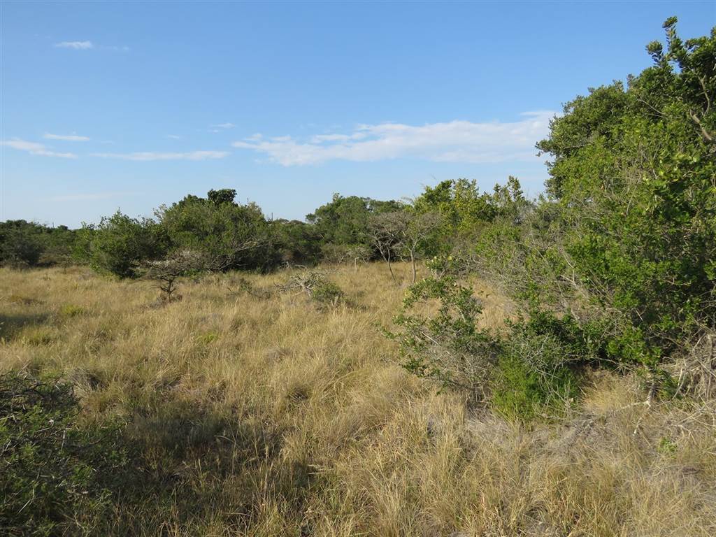 2 ha Land available in Forest Downs photo number 2