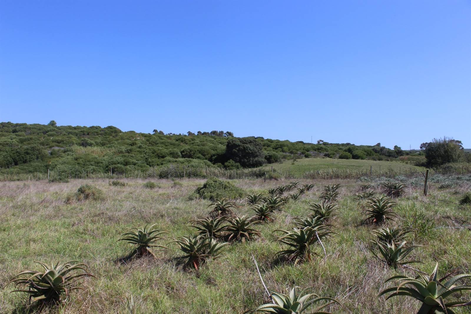 592 m² Land available in Stilbaai photo number 10