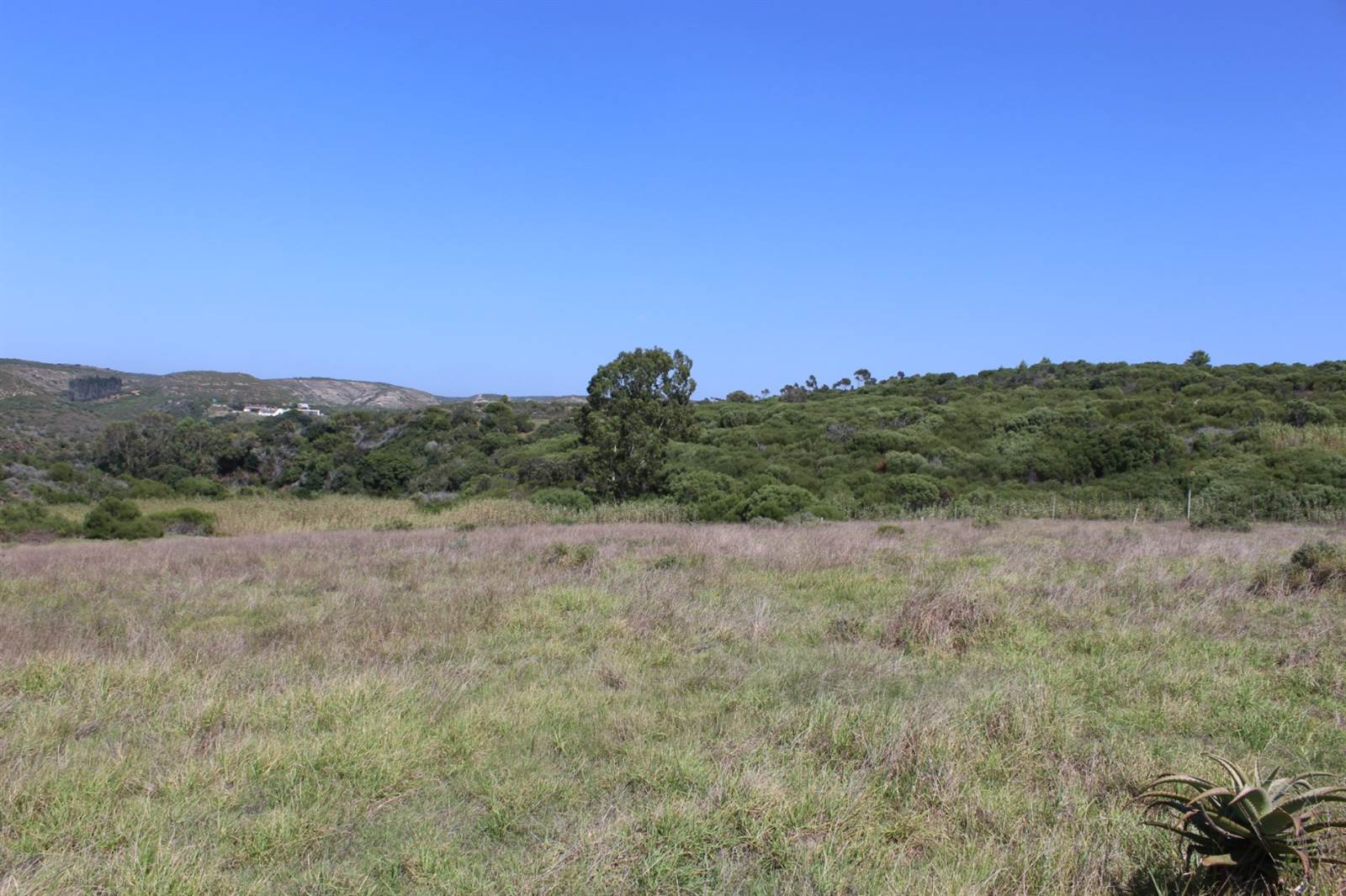 592 m² Land available in Stilbaai photo number 9