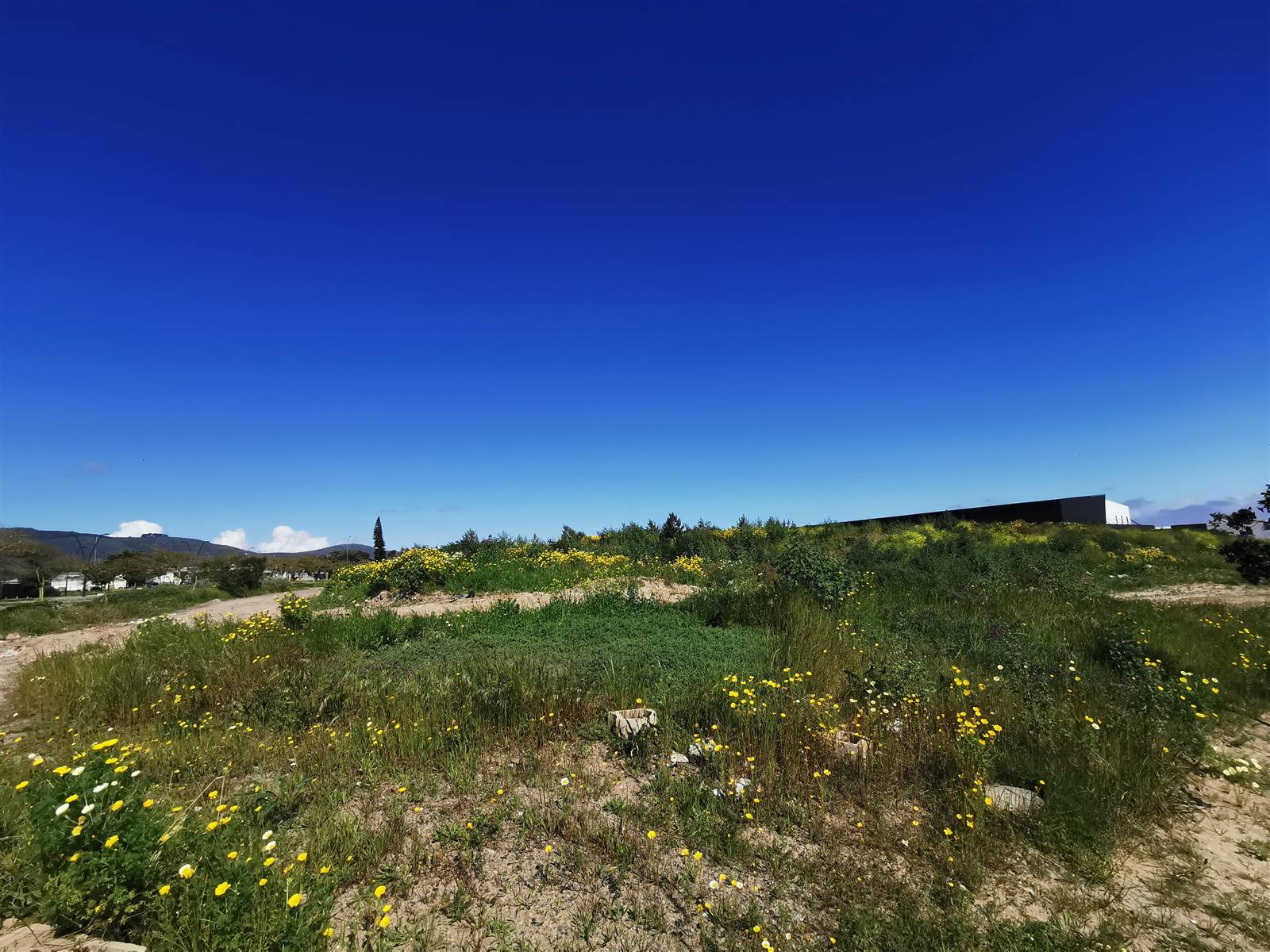 1.9 ha Land available in Milnerton photo number 1