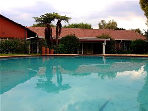 3 Bed House in Hazel Park