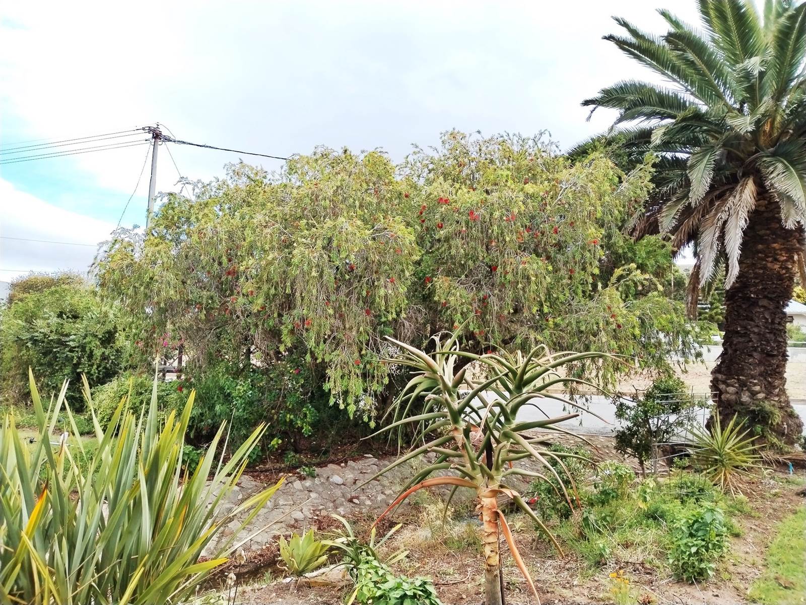 547 m² Land available in Bredasdorp photo number 7