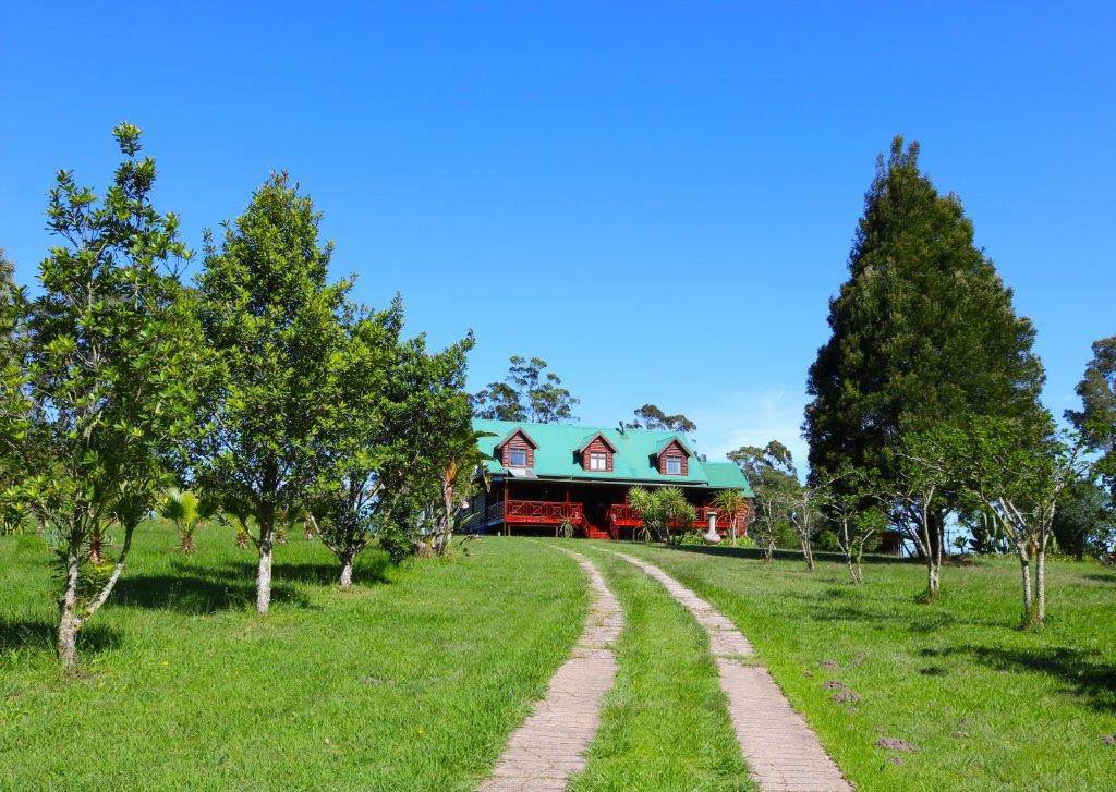 4 ha Smallholding in Knysna Central photo number 9
