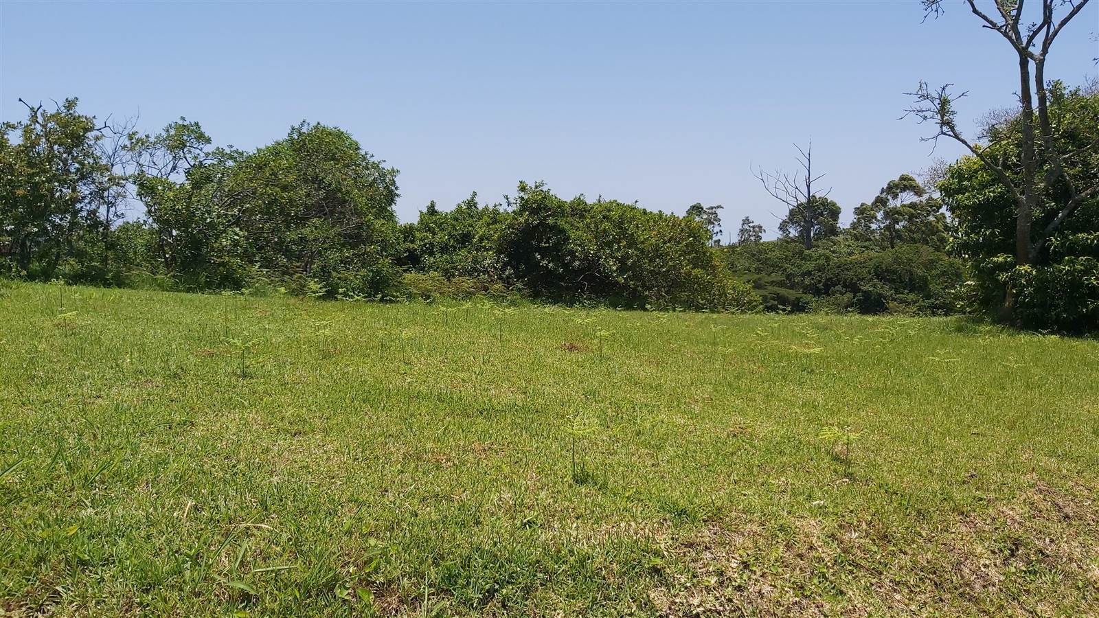 940 m² Land available in Eshowe photo number 4