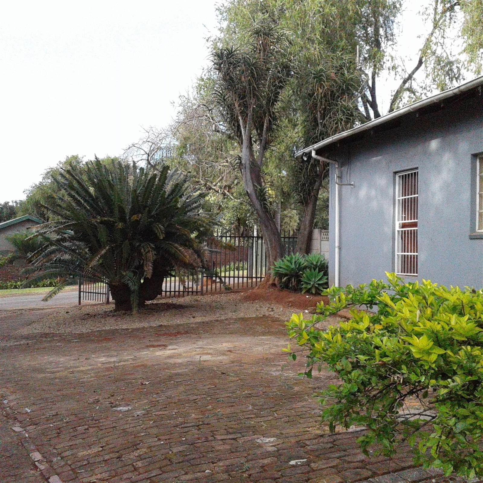 300  m² Commercial space in Tzaneen photo number 22