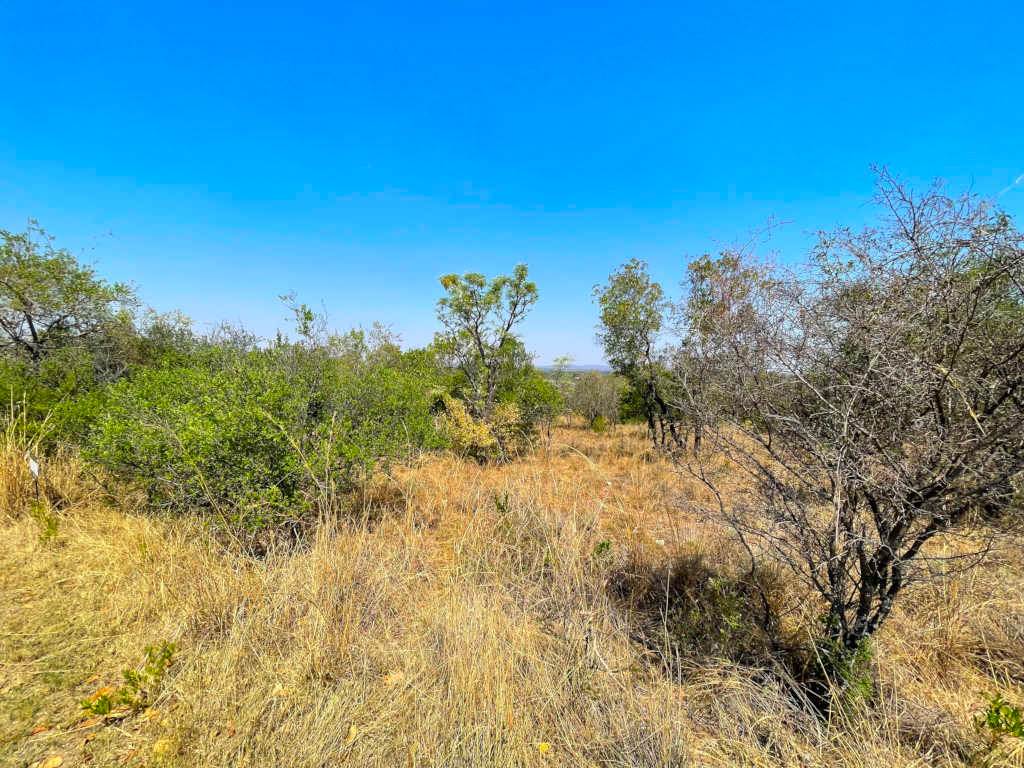 1038 m² Land available in Koro Creek Golf Estate photo number 2