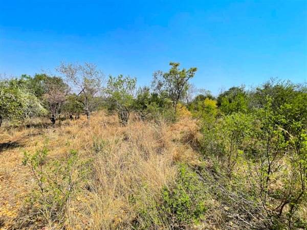 1038 m² Land available in Koro Creek Golf Estate