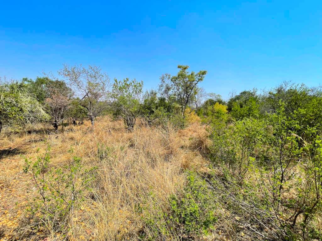1038 m² Land available in Koro Creek Golf Estate photo number 1