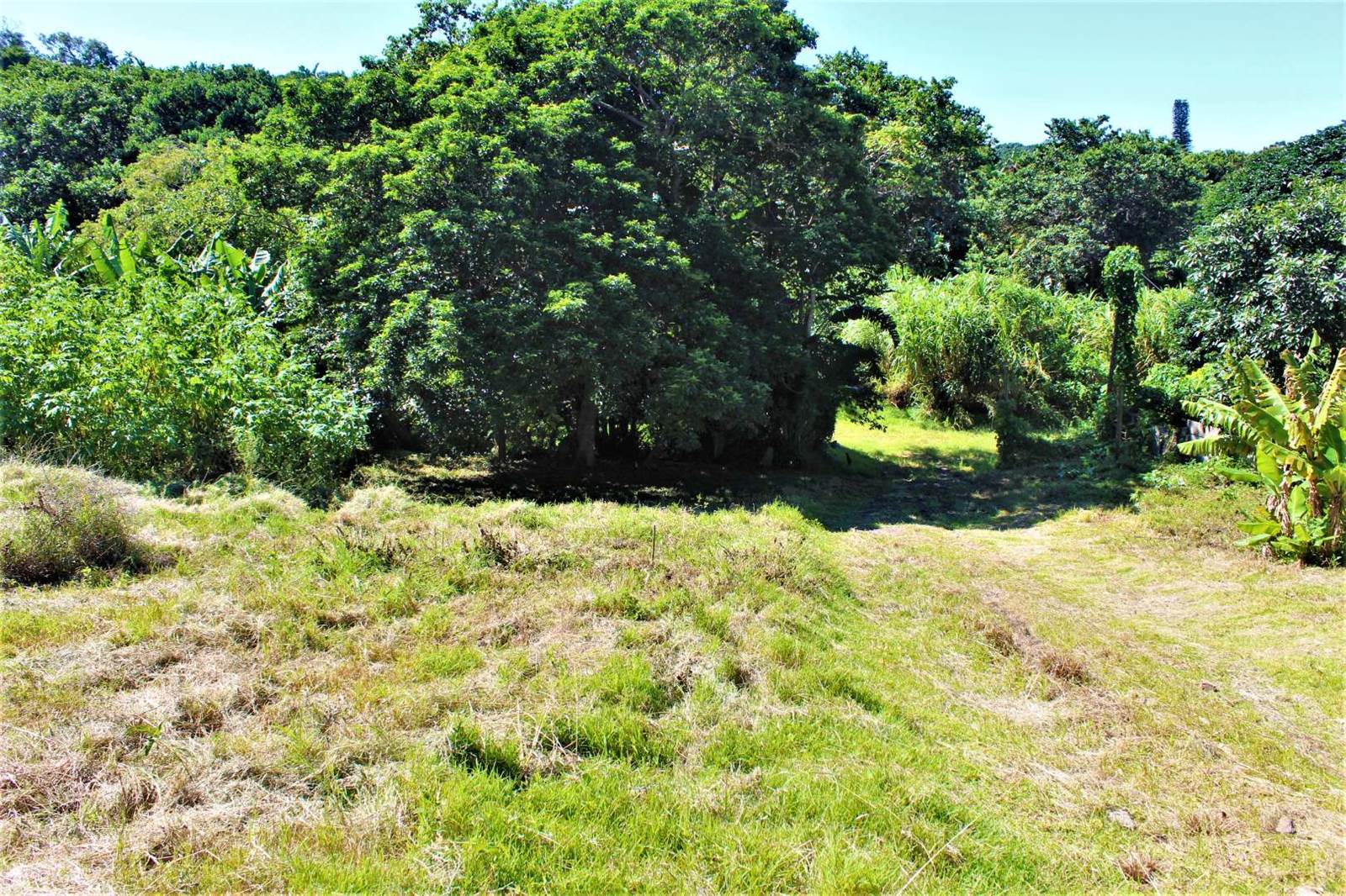 2080 m² Land available in Palm Beach photo number 3