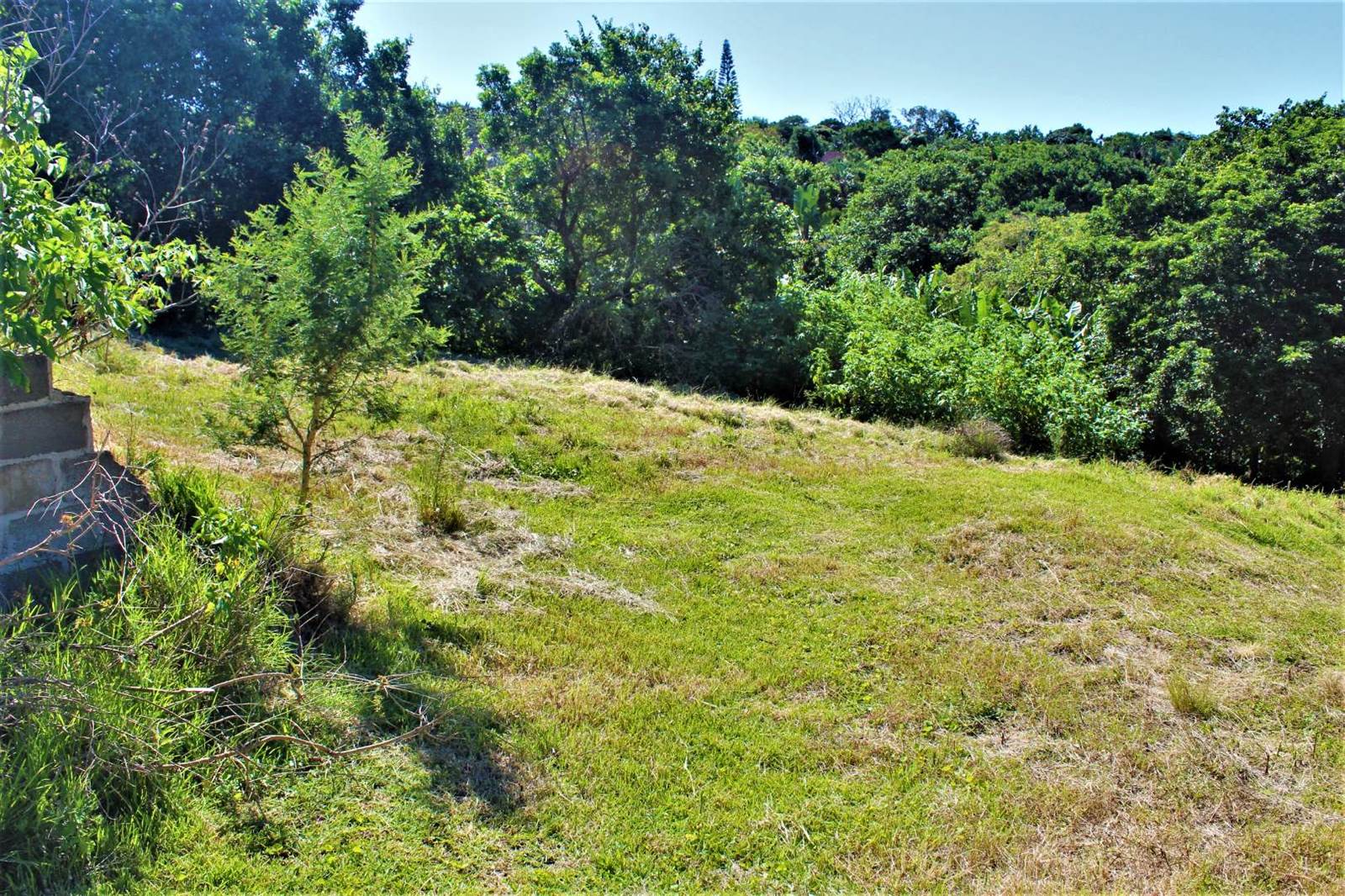 2080 m² Land available in Palm Beach photo number 10