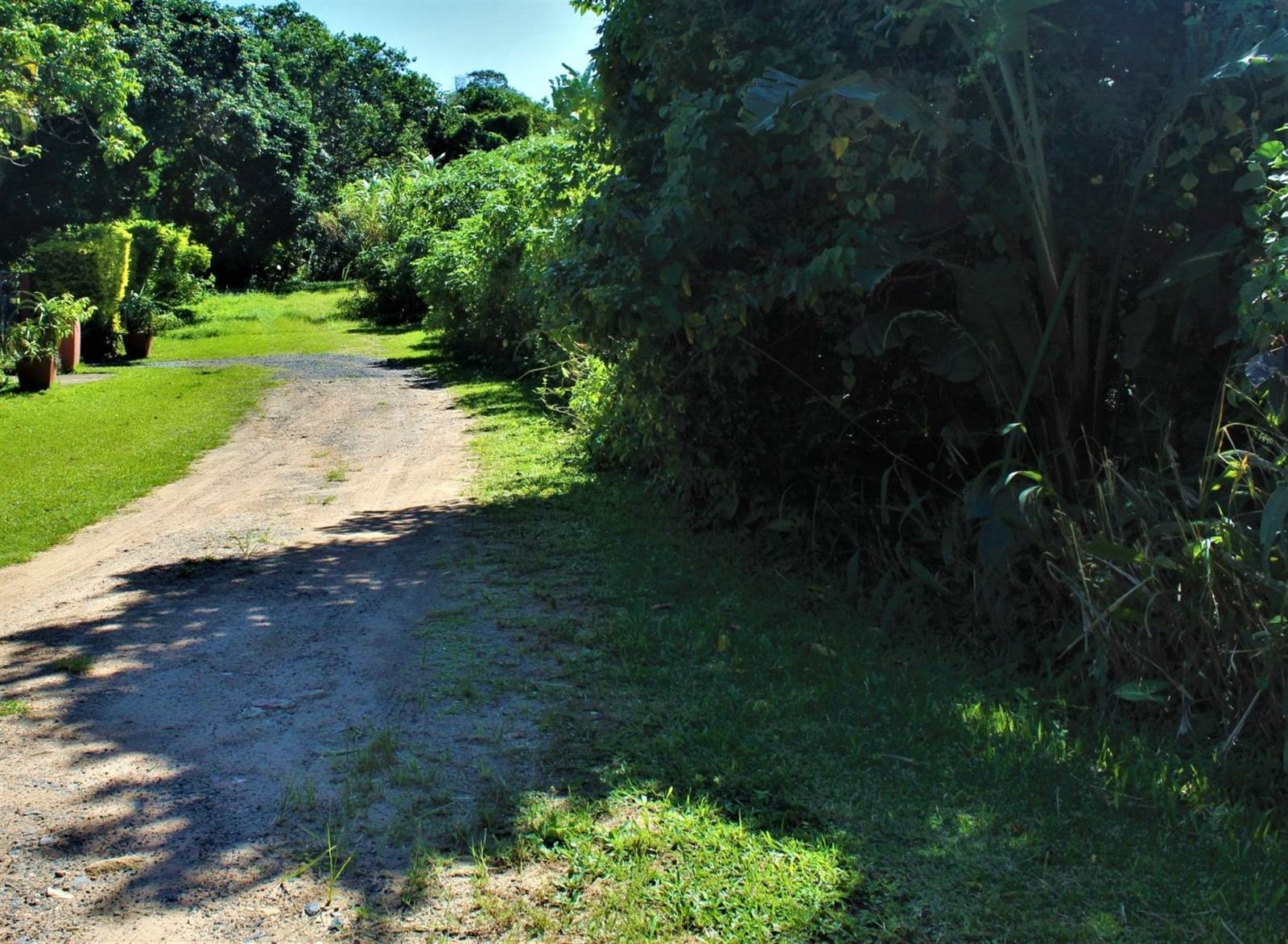 2080 m² Land available in Palm Beach photo number 1