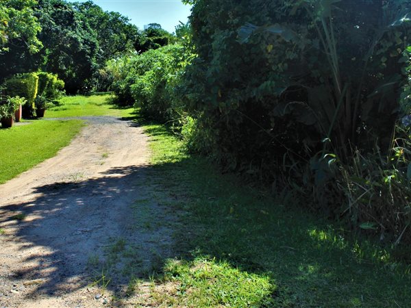 2080 m² Land available in Palm Beach